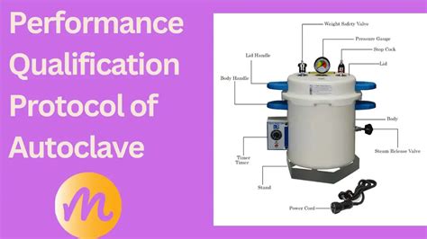 autoclave performance qualification|pda guidelines for autoclave validation.